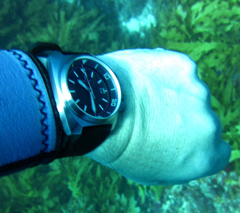 Halios laguna cheap watch